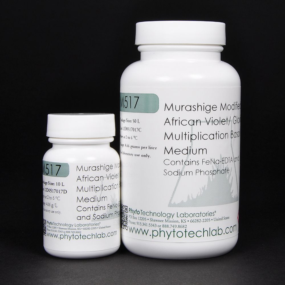 Murashige African Violet/Gloxinia Multiplication Medium - Media perkalian bunga Violet Afrika