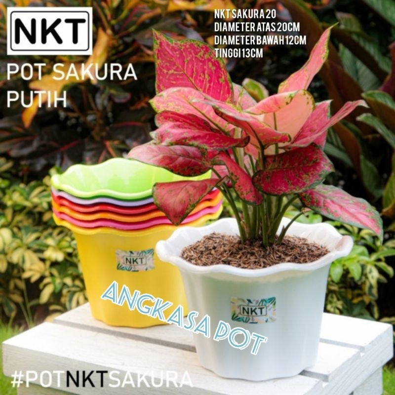NKT SAKURA 20 Pot NKT Pot bunga plastik Pot model bunga Pot cantik