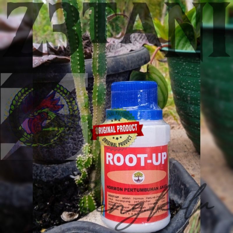 ROOT UP 100 Gram Pertumbuhan Akar Stek, Cangkok dan Okulasi