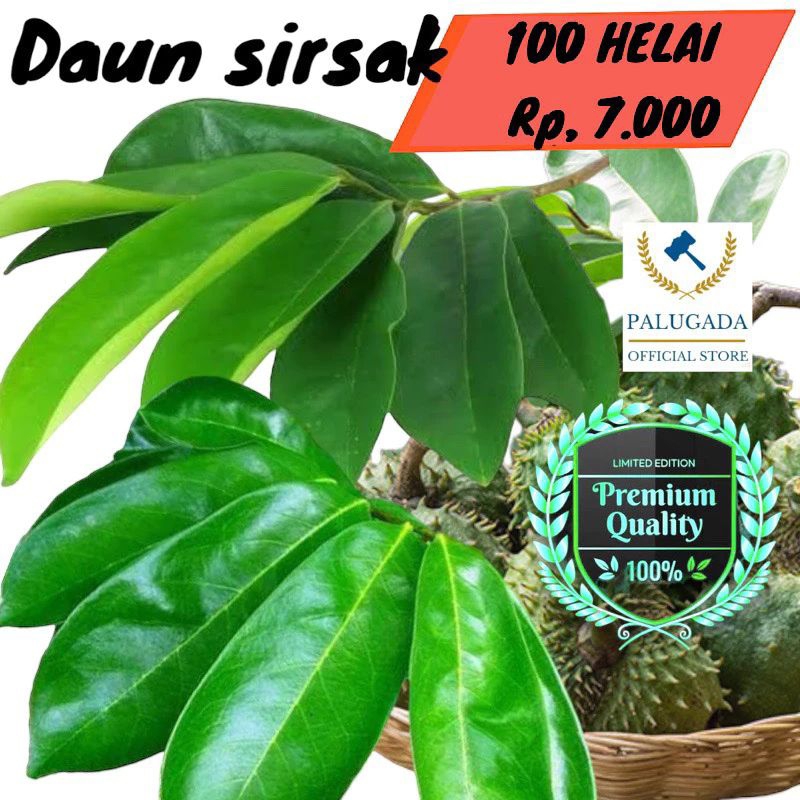 

daun sirsak segar 100 lembar 7 k