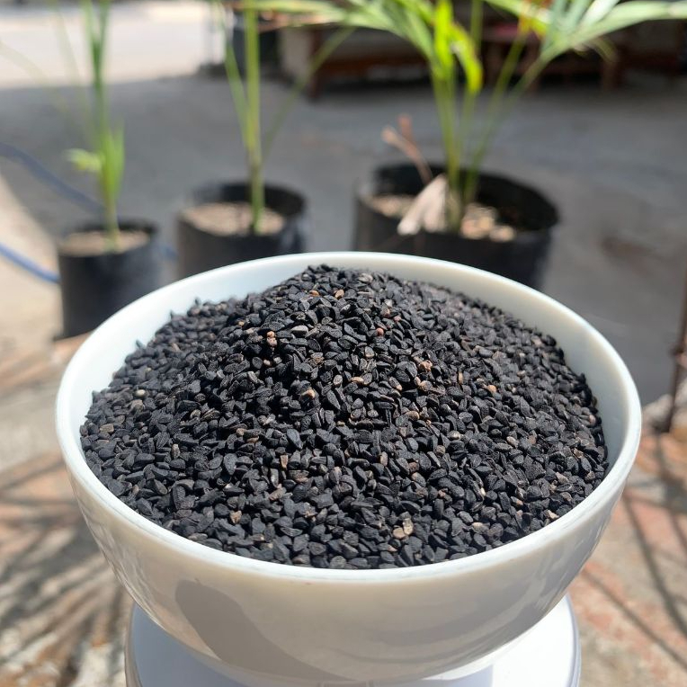

HABBATUSSAUDA / JINTEN HITAM 1KG