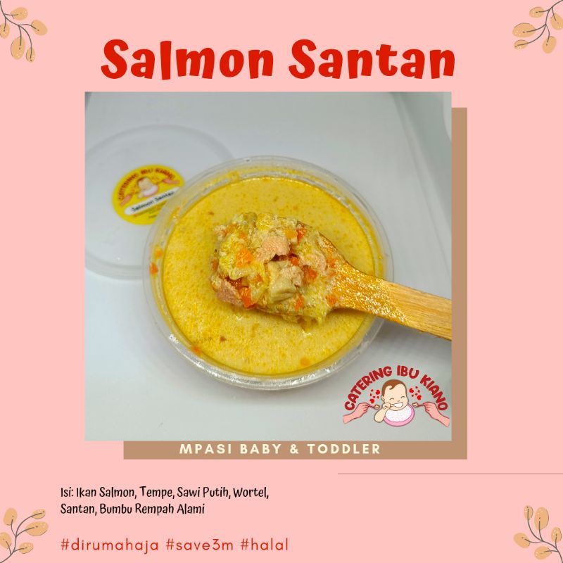 Salmon Santan Catering Mpasi Bayi Frozen