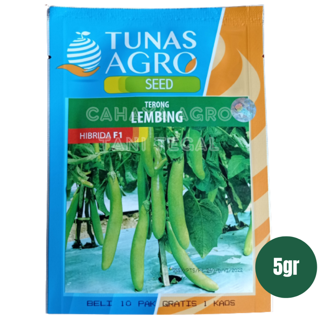 Benih terong lembing tunas agro 5 gr