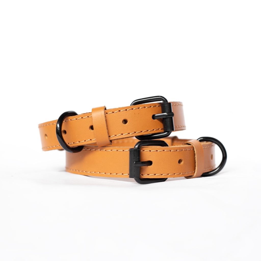 RK Kalung Anjing Nama - Leather Dog Collar