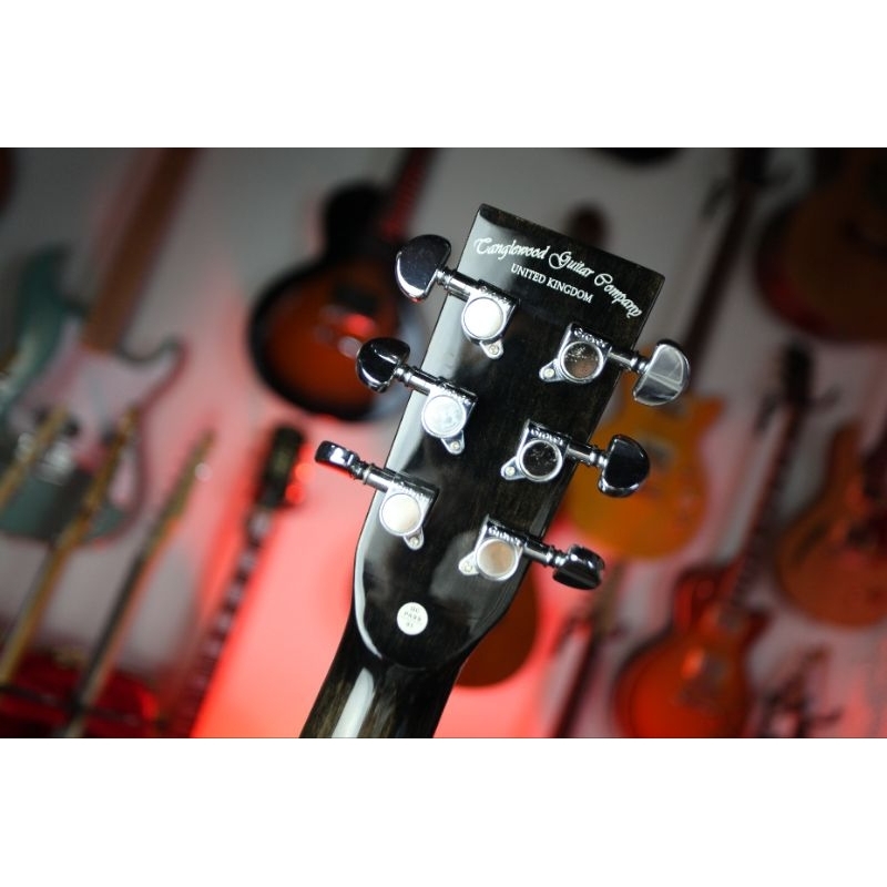 2ndTanglewood TW4 E BS
