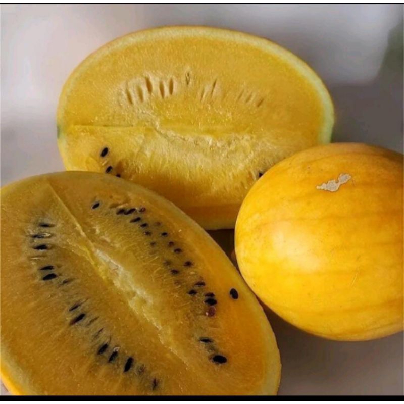 

SEMANGKA GOLDEN 1 BUAH
