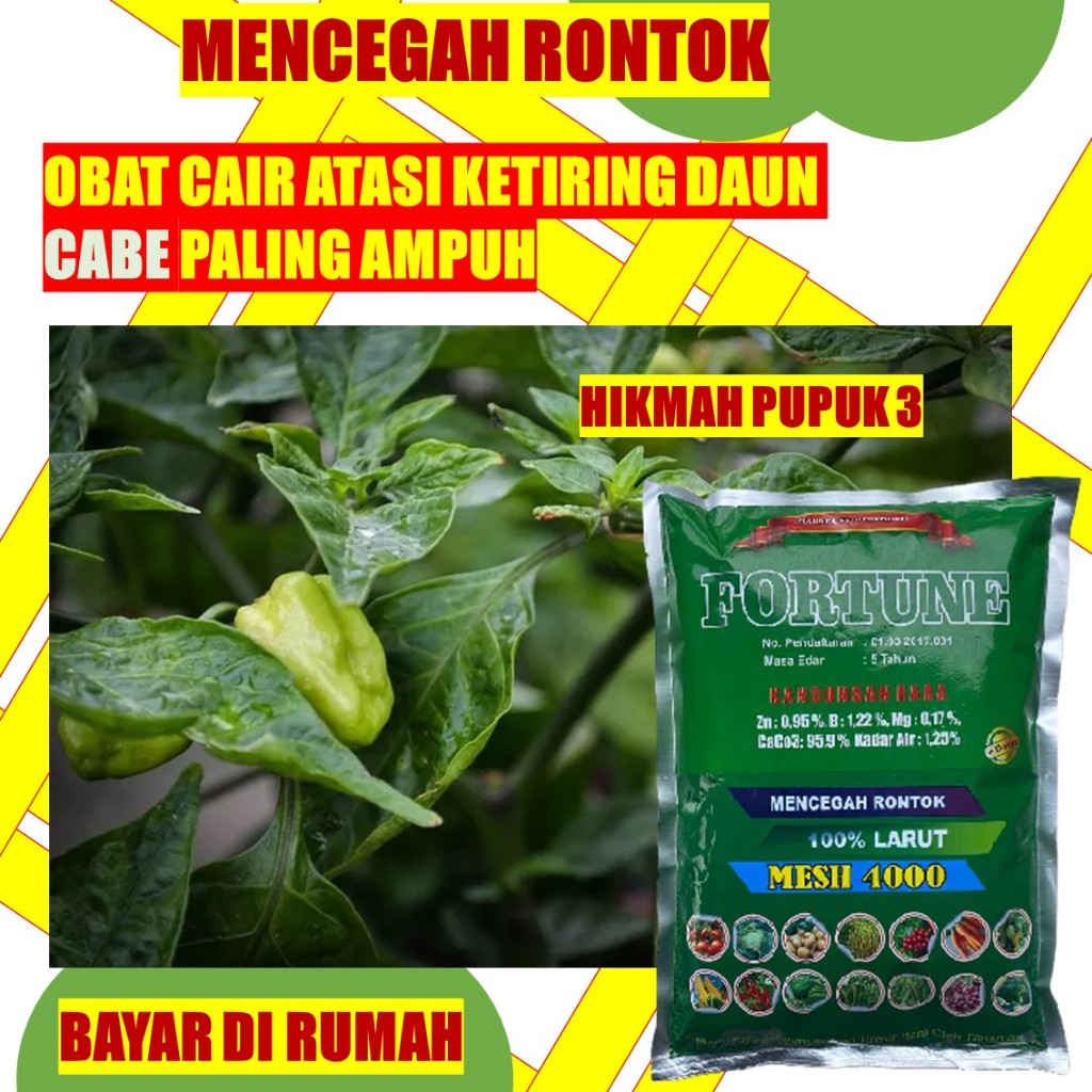 OBAT KERITING DAUN CABE PALING LARIS FORTUNE 1 KG  MENGOBATI VIRUS KUNING BULE CABE PUPUK TEPUNG CAB