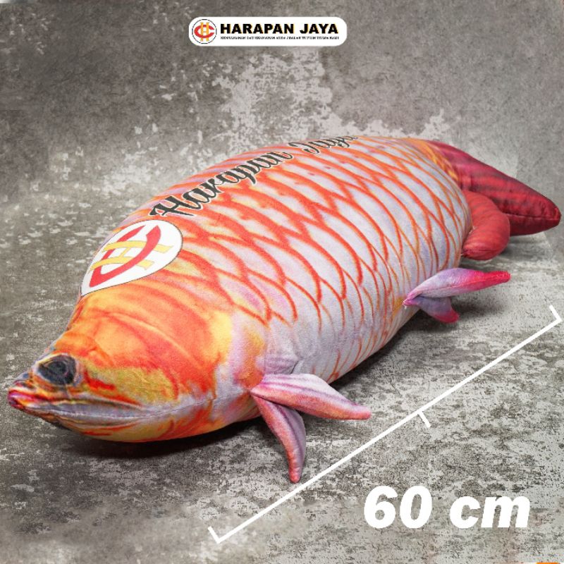 BANTAL IKAN ARWANA