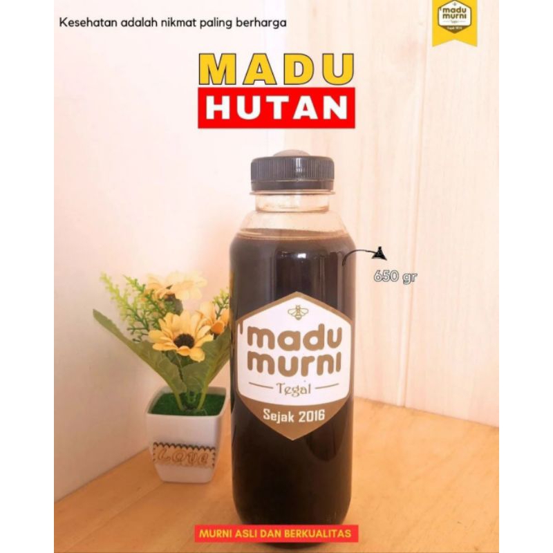 

madu hutan madu murni madu asli