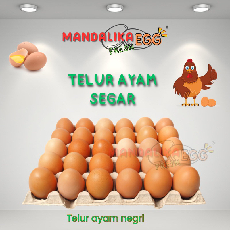 

Telur Ayam Negeri FRESH/ telor ayam negri per 1 tray telur ayam premium telor ayam premium telur segar telur ayam segar telur organik telur bebas bakteri telor ayam segar telor organik telor ayam segar telur omega telor omega