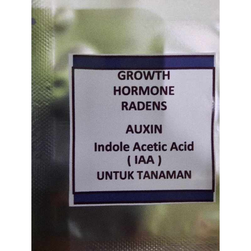 IAA AUXIN INDOLE 3 ACETIC ACID HORMONE ZPT PUPUK AKAR TANAMAN