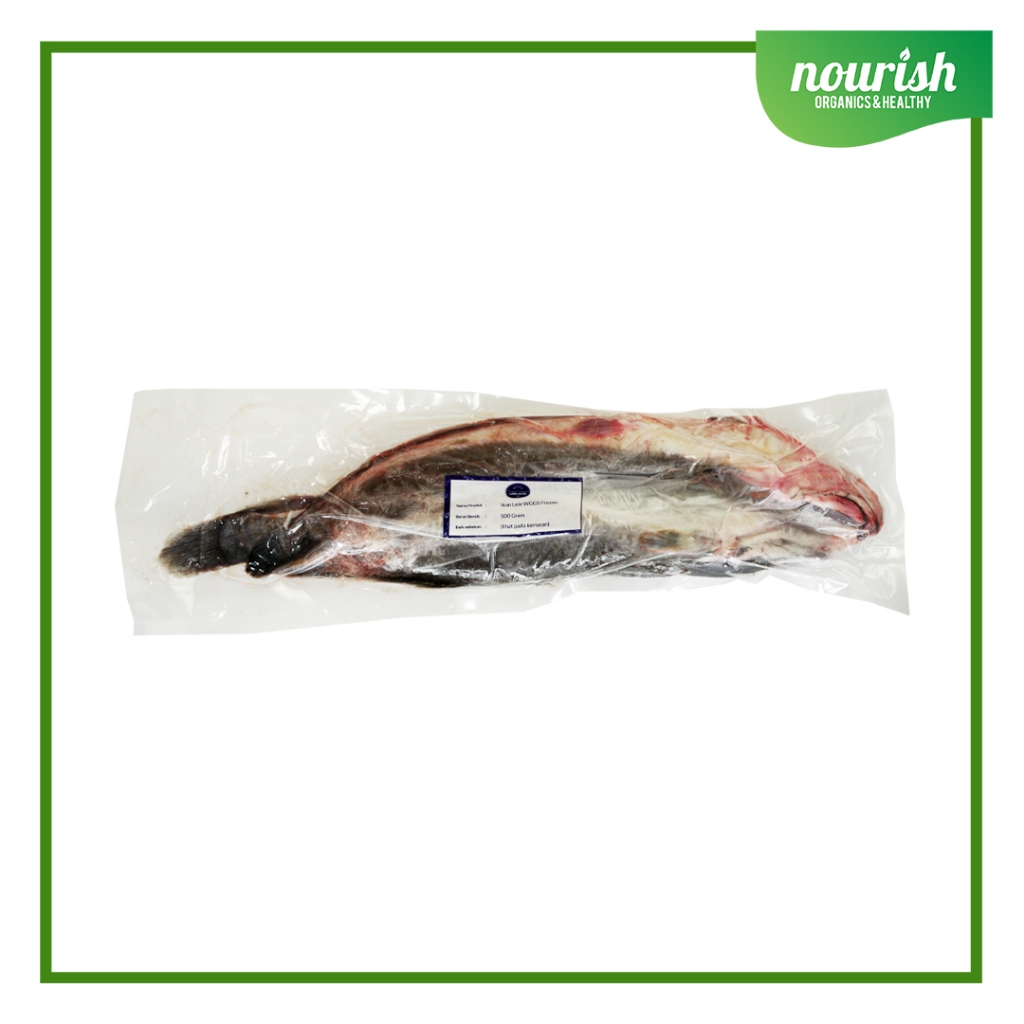 

Ikan Lele Frozen 500gr-Jakbar