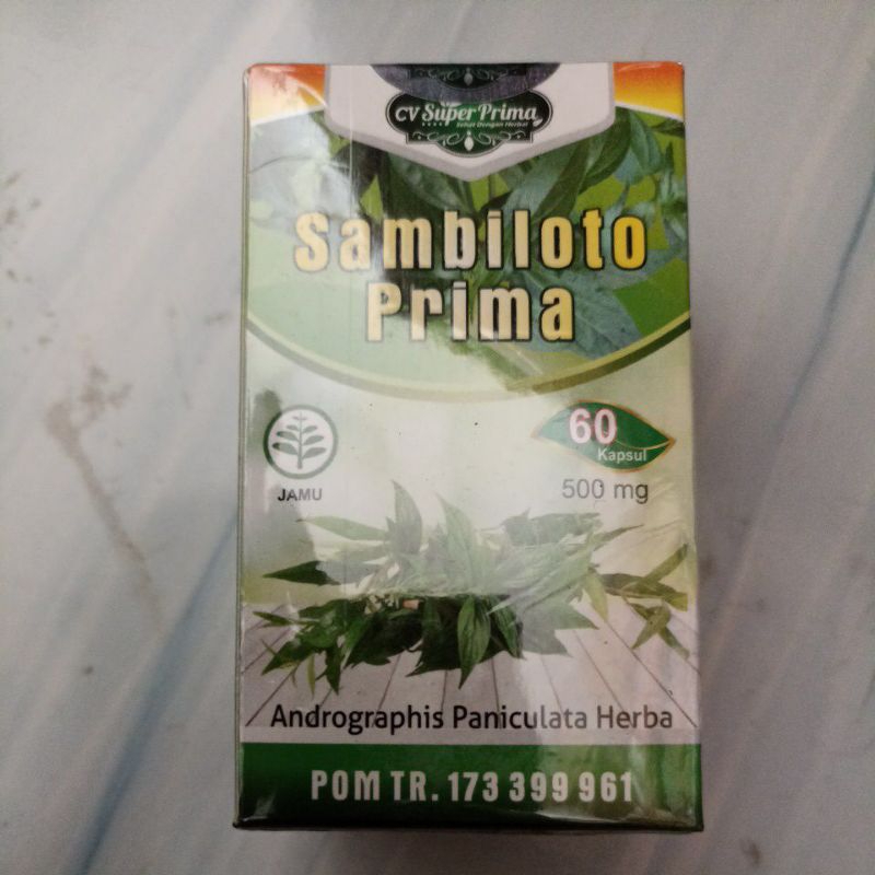 

prima sambiloto