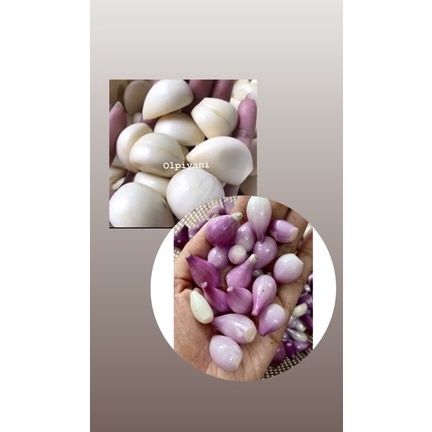 

✦BEST SELLER✦ Bawang merah ,Putih kupas 250gram
