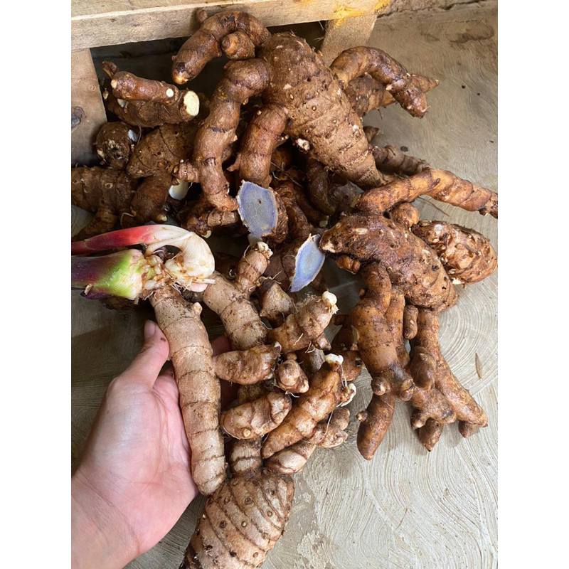 

Termurah Temu Ireng 1kg