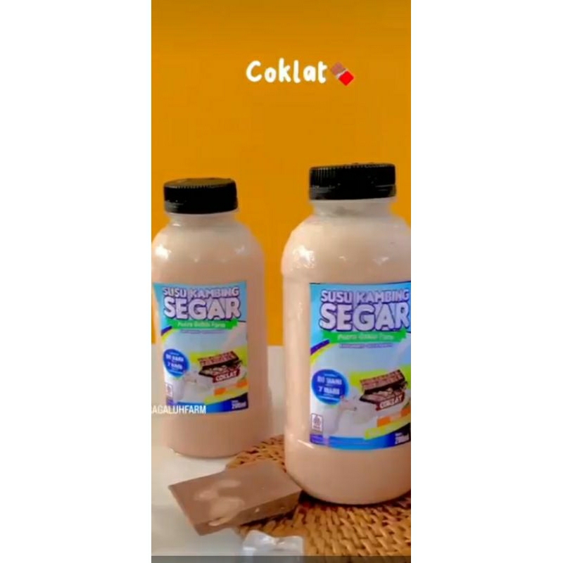 

susu kambing etawa 90% perasa coklat 10%