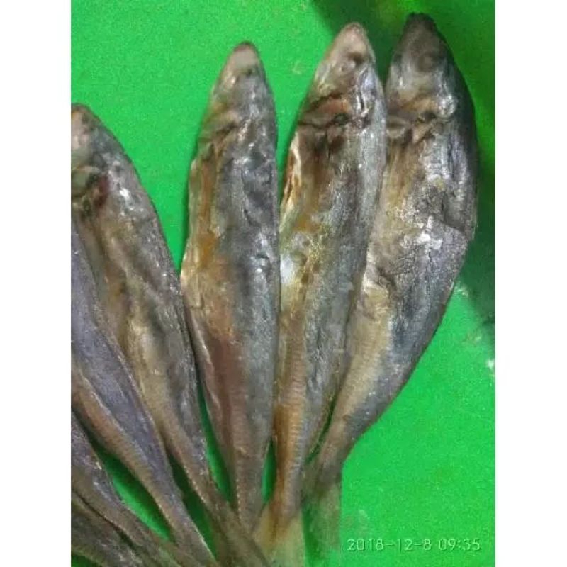 

ikan asin japuh, ikan asin buled, ikan asin murah, ikan asin termurah, ikan asin putih, ikan layur