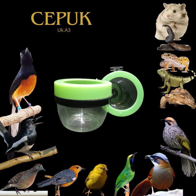 Cepuk Tempat pakan minum burung A3 - 6cm - 1 pcCepuk tempat pakan minum burung
