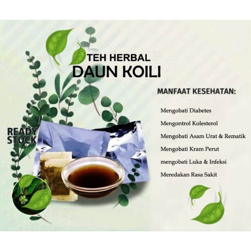 

Obat diabetes Teh daun koili