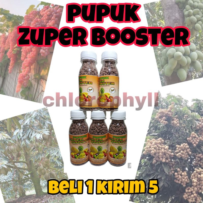 PUPUK ZUPER BOOSTER PELEBAT BUAH Beli 1 Dapat 5