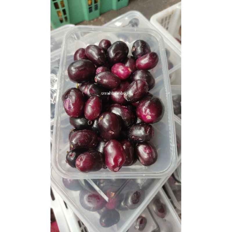 

Buah jamblang