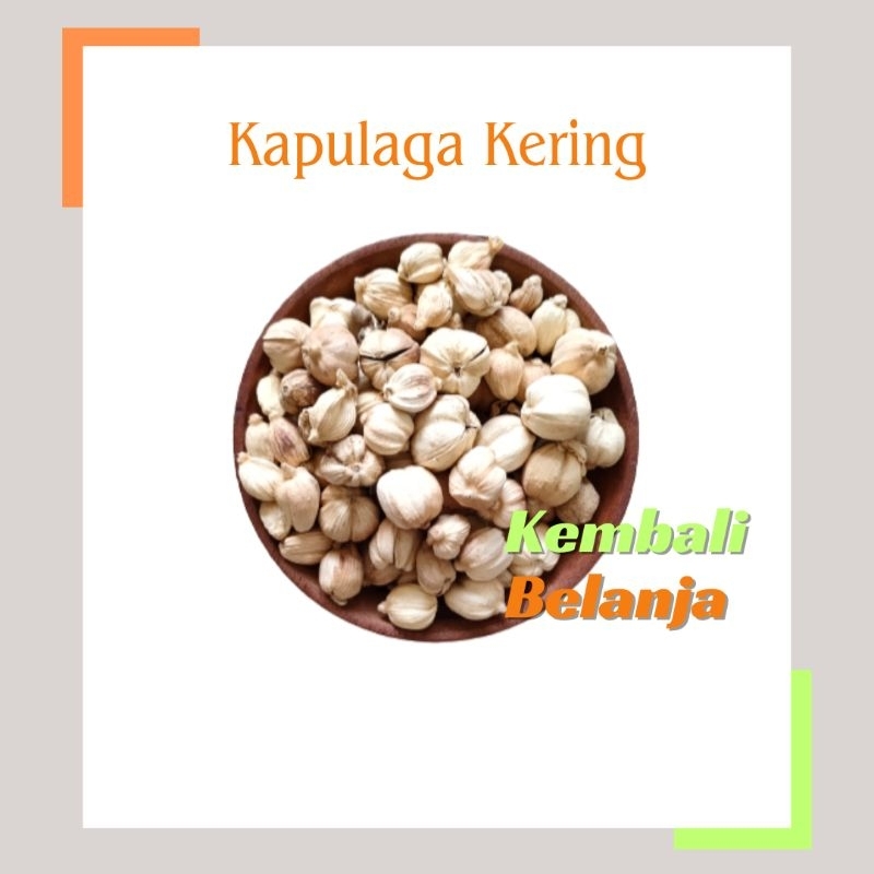 

Kapulaga 10 Gram/ Kapulaga Kering/ Kapol/ Kapulogo/ Kapulaga Jawa/ Cardamom