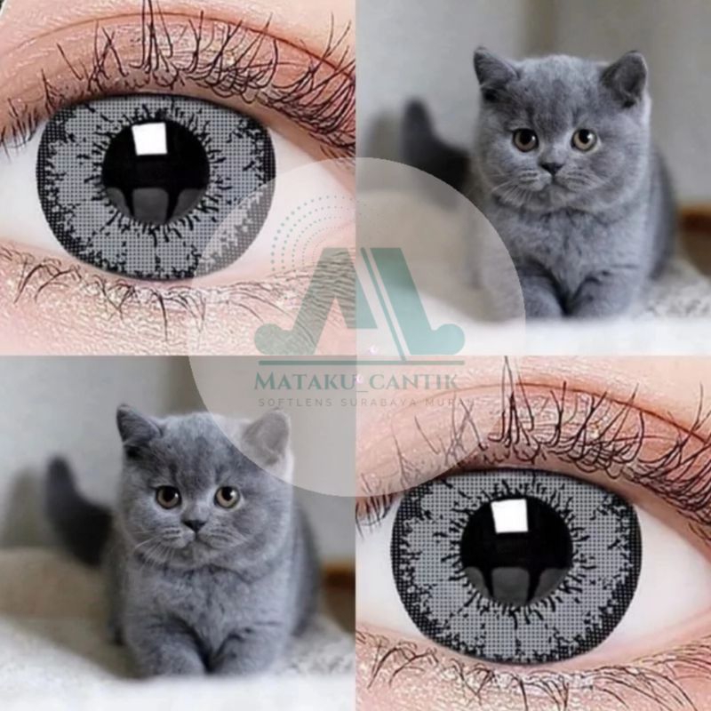 Softlens Grey , Brown , Blue Tajam Diameter 16mm Premium | Softlens Blue Tajam | Softlens Brown Taja