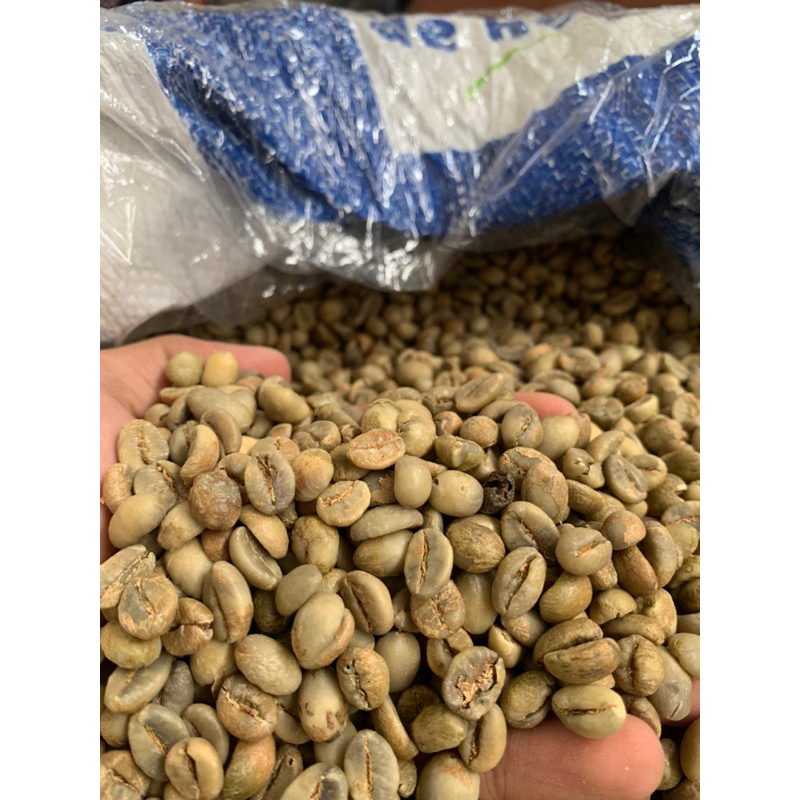 

Biji Kopi Robusta Murni 1kg GP SEMERU Asli Tanpa Campuran