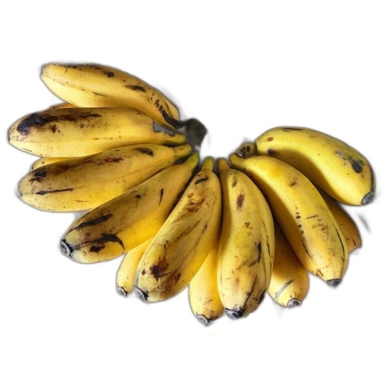 

Pisang emas