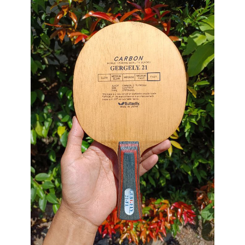 Butterfly Gergely 21 Oldtag