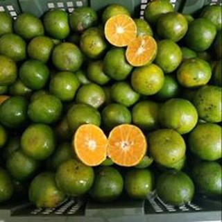 

Jeruk Peras Fresh 500 gr