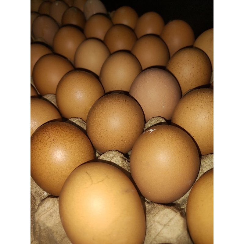 

Telur Ayam ras 1 kg (Khusus Instant)