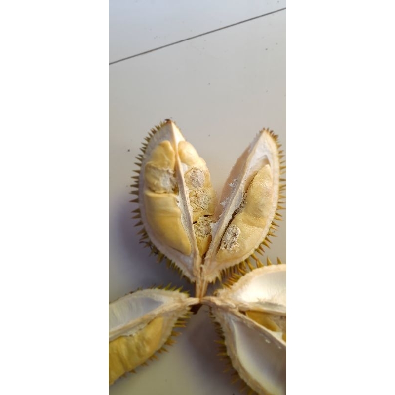 

durian kasmin bergaransi