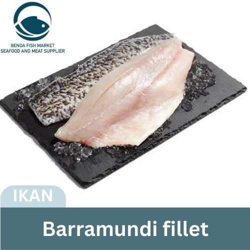 

Ikan Barramundi Fillet fish