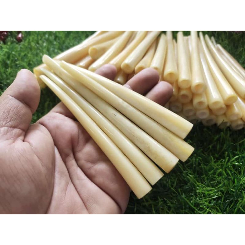 pipa tulang sapi