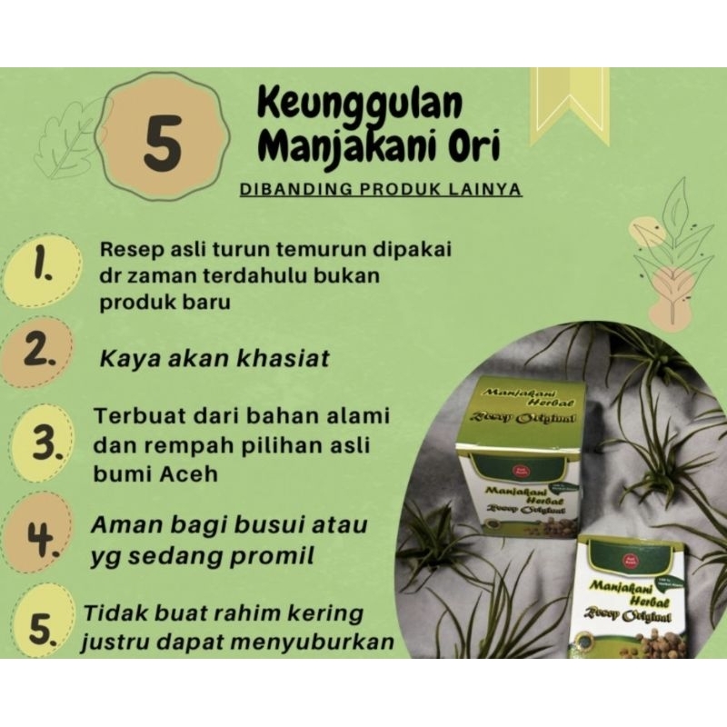 Manjakani ori herbal Aceh