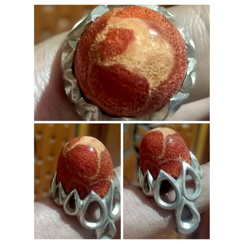 natural red coral Marjan