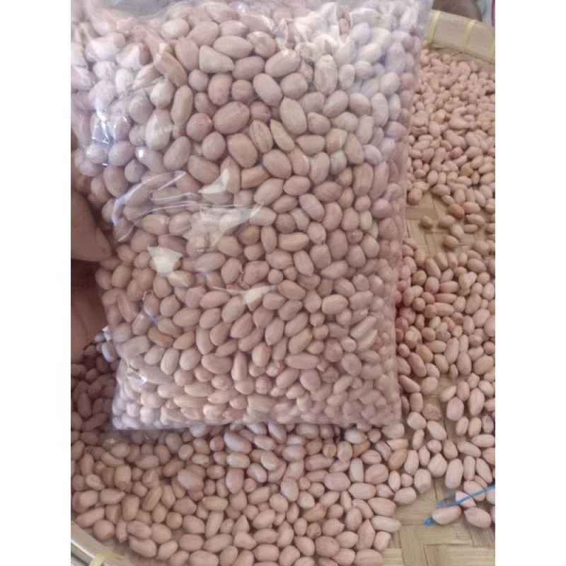 

TERLARIS!!! 1KG KACANG TANAH SUPER SIAP TANAM