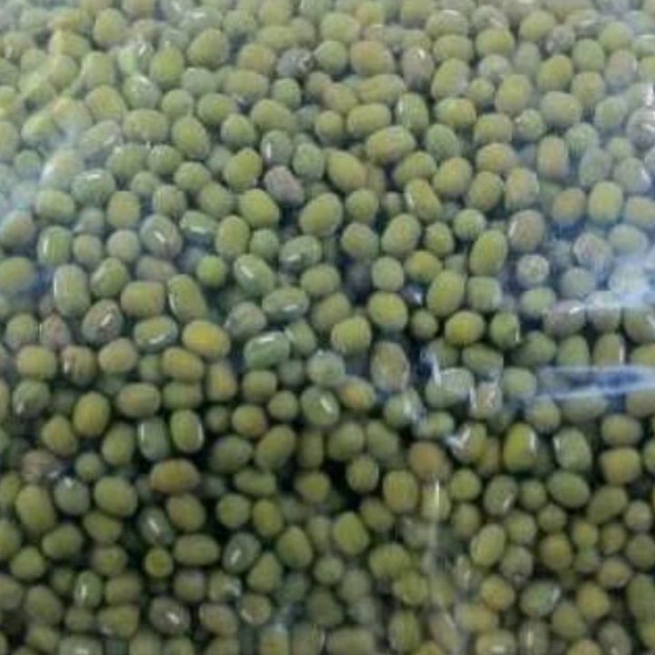 

Ready Stock kacang ijo lokal 1 kg kacang ijo bubur ➥☈✥