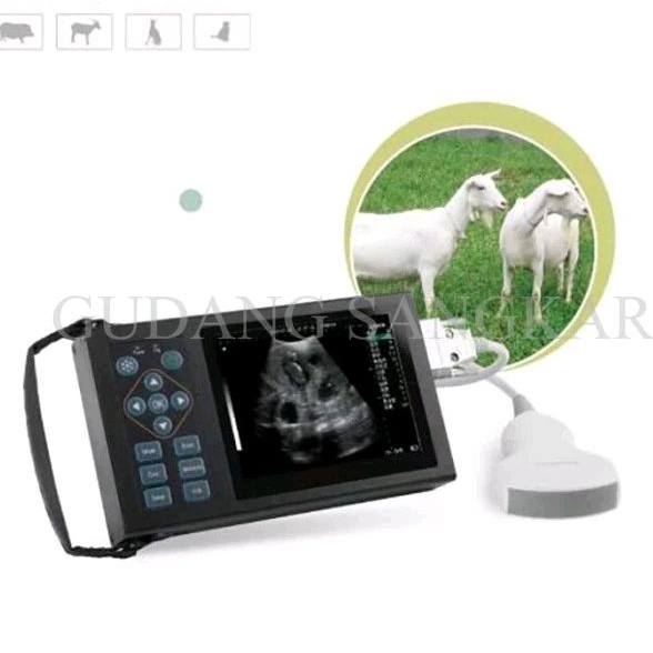 Mesin USG Ultrasound Pemeriksa Kehamilan Hewan Ternak Kambing Domba - ElectronicProbe