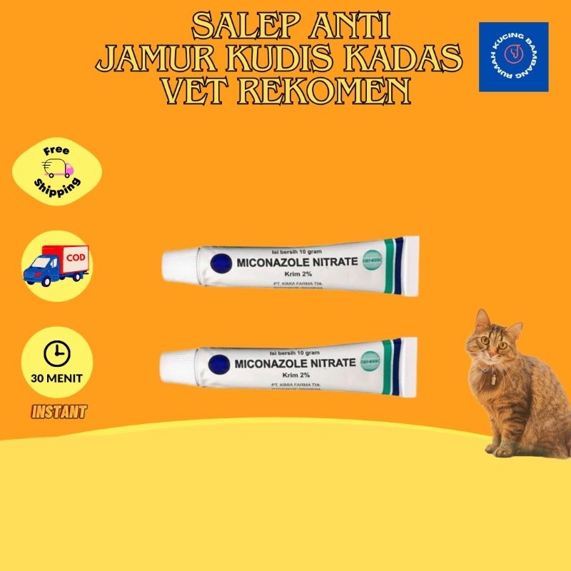 SALEP PEMBASMI JAMUR, KADAS, PANU, KURAP MICONAZOLE UNTUK HEWAN