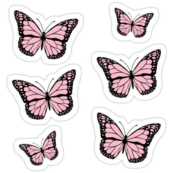 

Sticker butterfly kupu-kupu aesthetic custom cute