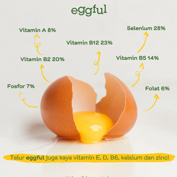 

RB EGGFUL Telur Ayam Organik Premium Free Range Cage Free Vitamin E Korea