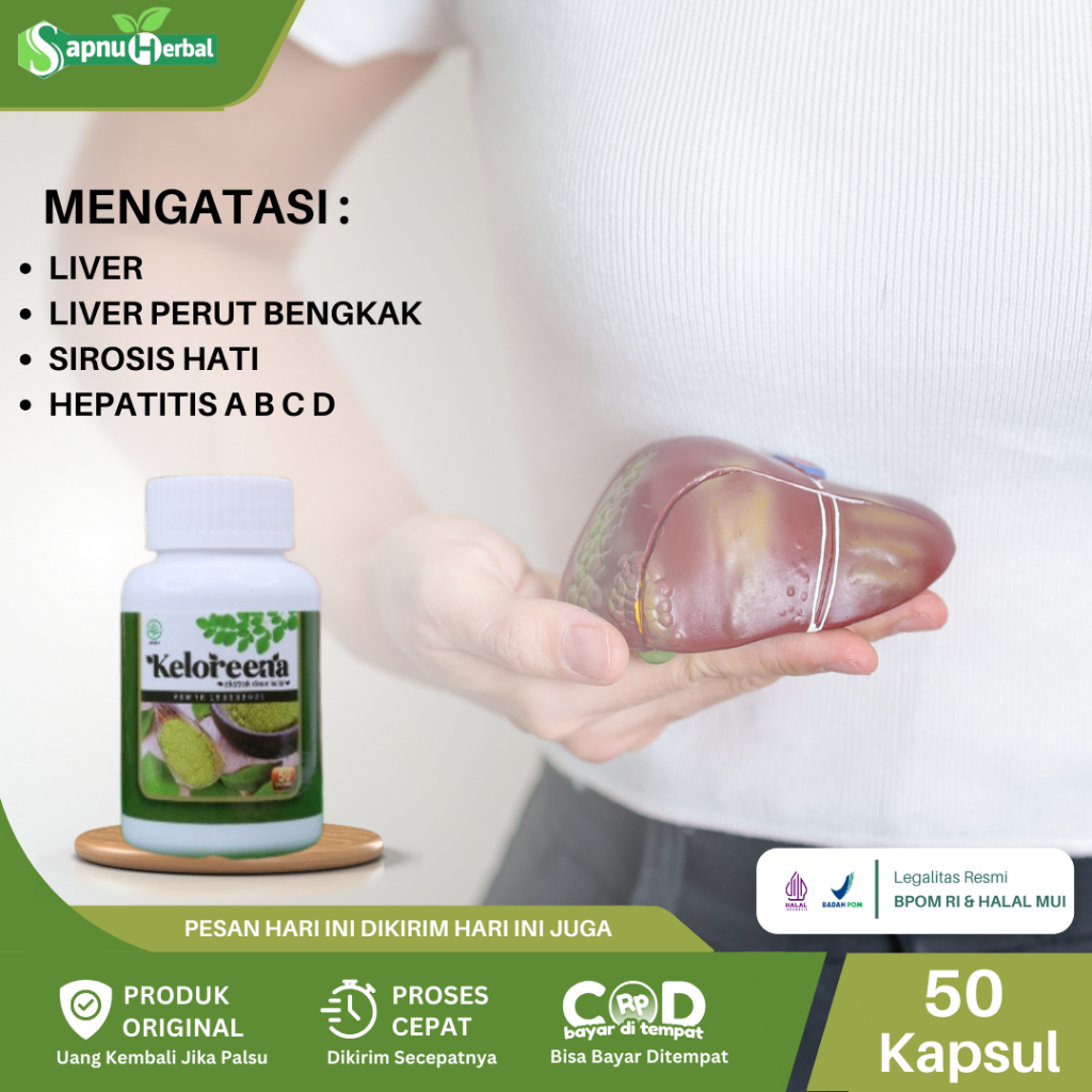 Obat Liver, Liver Perut Bengkak, Sirosis Hati, Liver Bengkak, Radang Hati, Infeksi Hati, Kanker Hati