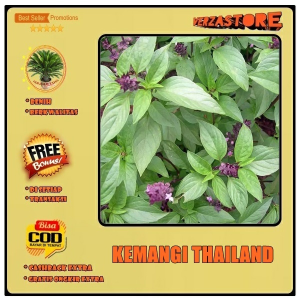 biji/benih/bibit tanaman kemangi thailand /50 biji