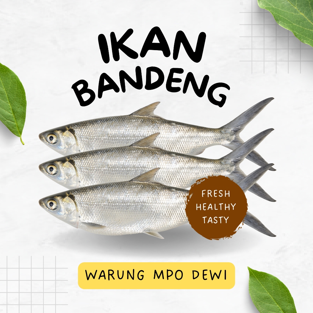 

Ikan Bandeng Segar