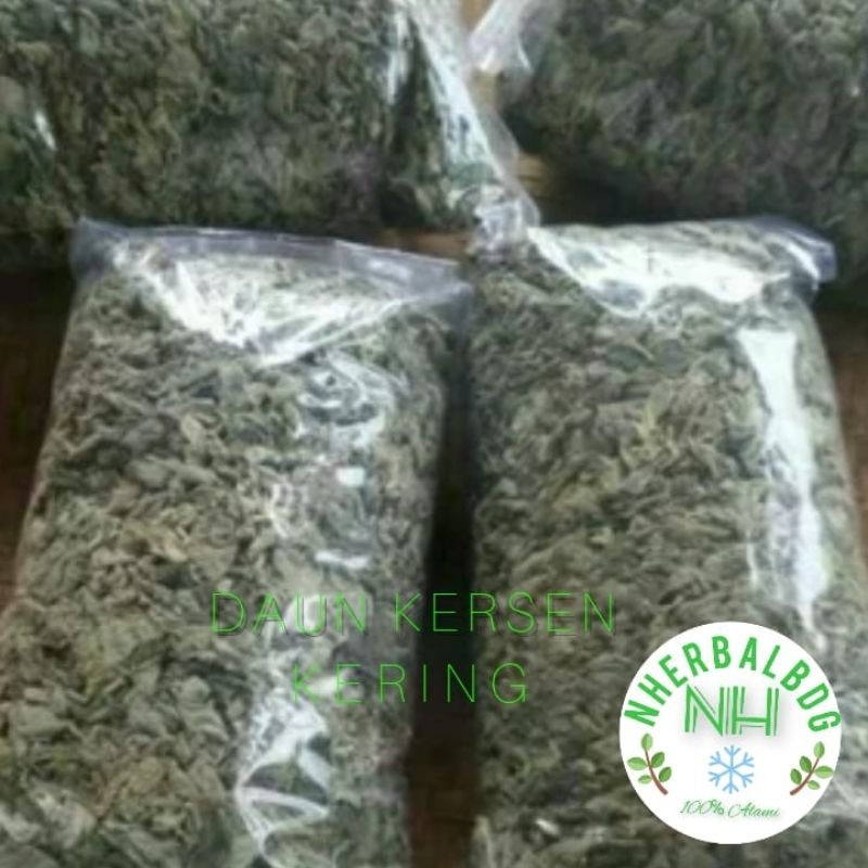 

Jual Daun Kersen Kering per bungkus berat 100 gram