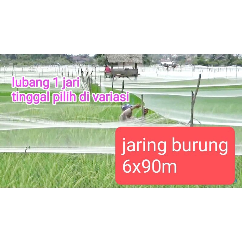 JARING BURUNG JARING PADI JARING EMPRIT JARING SAWAH 6 x 90 METER JEBAKAN PERANGKAP BURUNG JARING3