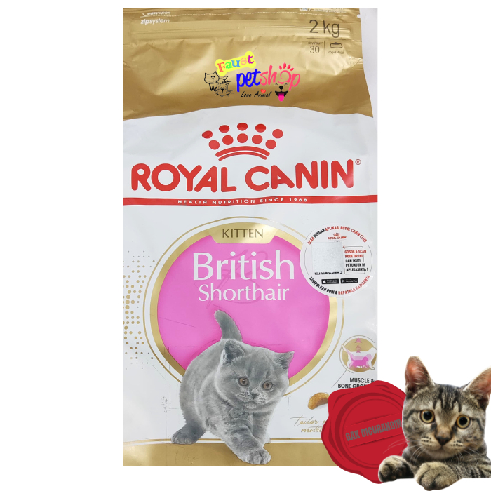 Royal Canin Kitten British Shorthair 2 Kg Makanan Kucing Kering Dry Cat Food