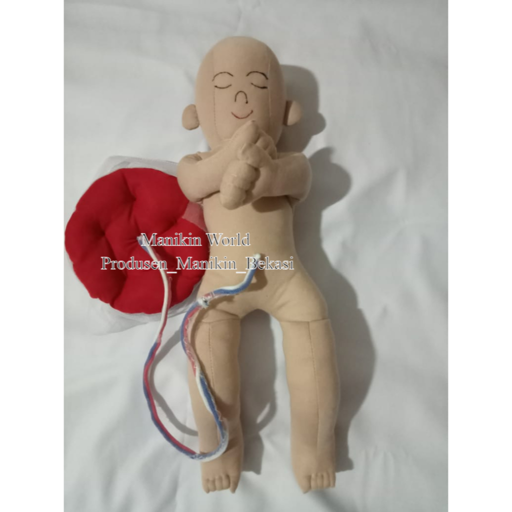 [PRODUSEN] MANIKIN BAYI DAN PLACENTA BAHAN KAIN / PHANTOM MANIKIN / ALAT PERAGA